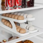 EGG-DESPANSOR-TRAY-1